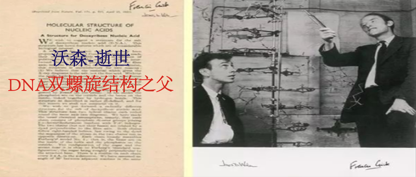 一頁紙發表Nature揭秘DNA雙螺旋結構之父--沃森逝世